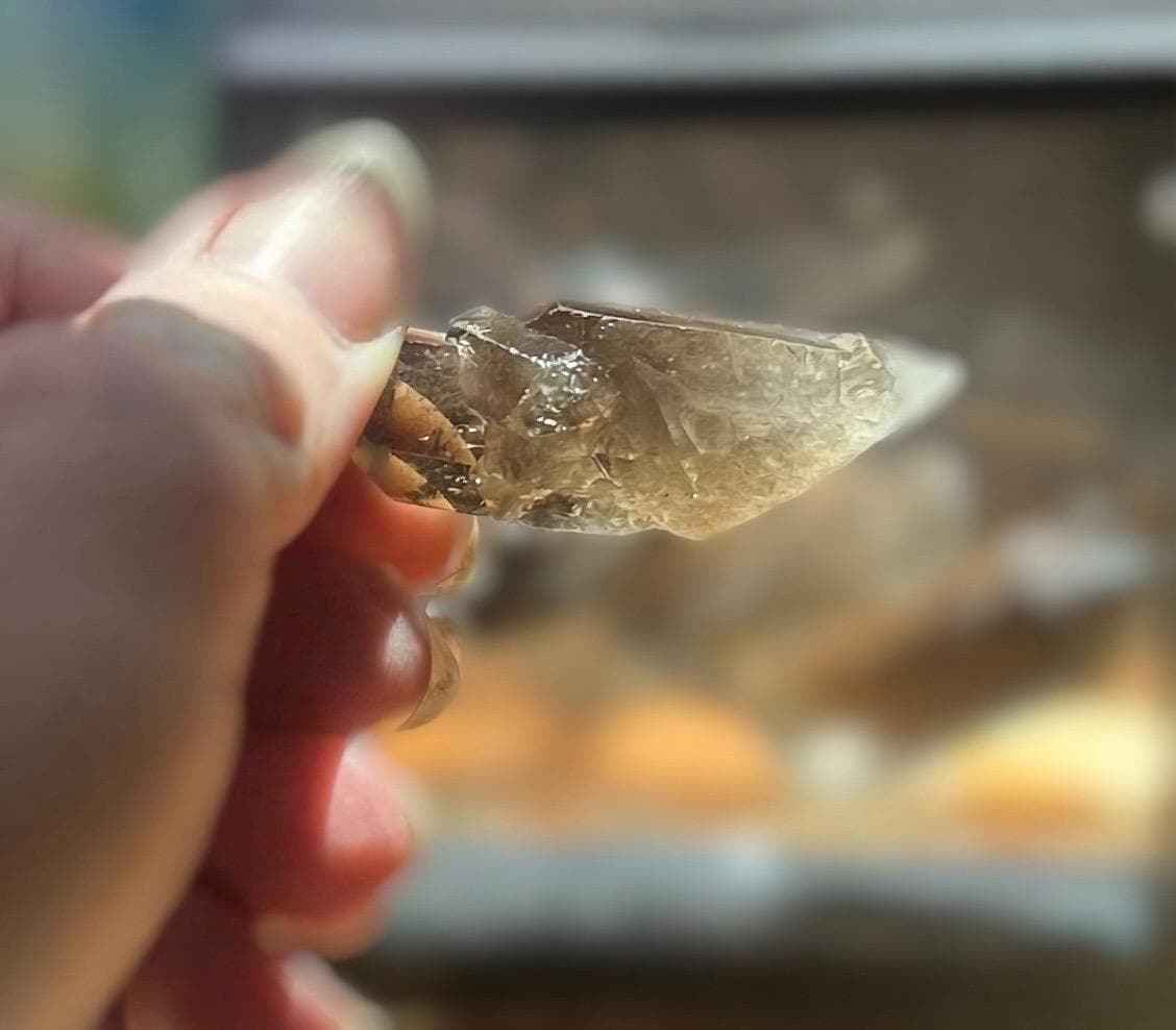 Smoky Quartz Point Crystal | Raw Lemurian Reiki Morion Cuarzo Crystal | Brazil Natural Smoky Quartz